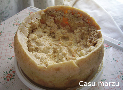 casu-marsu